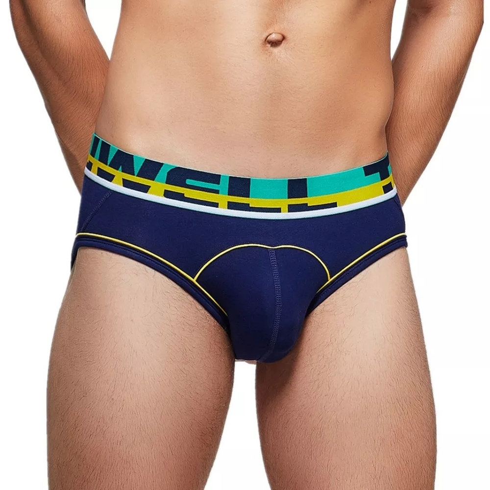 TAUWELL Brief